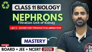 Nephrons Filtration Unit of Kidney | Excretory Products Elimination Class 11 Lecture 2 | NEET