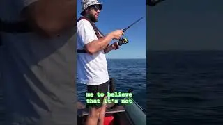 SHARK BITES MY FISH IN HALF!!! #fishing #fish #shark #sharks #sea #seafishing #sharks