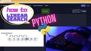 ASMR  -  Python - Linear Search Algorithm(No Talking)