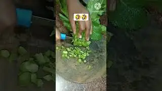 jab tak jinda hun #funnyvideo 😂😂#shorts #viral #video