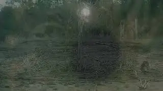 seita - duellona [MUSIC VIDEO]