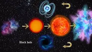 Stellar evolution : How Stars Grow and Change!⭐️🌟