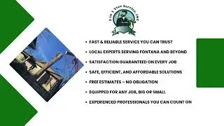 SAFE, EFFICIENT, AND AFFORDABLE TREE CARE IN ATHENS, GA