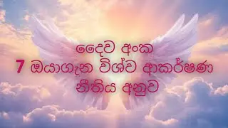 දෛව අංක 7 ඔයාටයි🌸 #1111 #lowofattraction #affirmations #foryou #viral #angelnumber #විශ්ව_ශක්තිය 