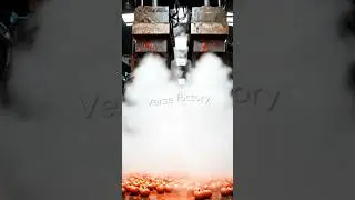 Inside a Tomato Ketchup Factory 🍅 | How It&rsquo;s Really Made #bbl2025 #cricket