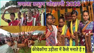 गयाता ठाकुर जोहारनी 2025 | कीबेकोंगा ओडिशा में कैसे मनाते हैं? | पारंपरिक आदिवासी उत्सव@spmarkam 
