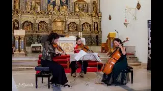 TRIO NACEDO, segundo premio es aequo del XVIII Concurso Internacional de M&uacute;sica de C&aacute;mara de Arnuero