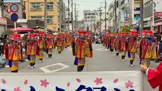 第62回 名護さくら祭り　踊りくわでぃさーパレード　2025-01-26