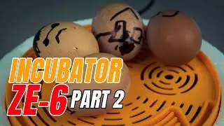 Small egg incubator ZE-6 - (Part 2) . Маленький инкубатор для яиц ZE-6 - (2 Часть) .