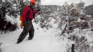 Elk Hunt Cox Creek Colorado