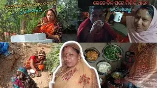 କେତେ ଦିନ ପରେ ମିଶିକି ଆମେ କଫି ପିଇଲୁ 🥰💝#vlog81 #viralvideo #puspalibehera #lifestylevlog 