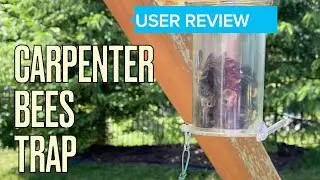 Carpenter Bees Trap Review