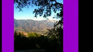 EMERGENCY MEDITATION with Brock Travis, PhD