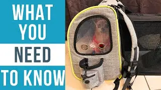 Обзор рюкзака-переноски для животных Pecute: что нужно знать!