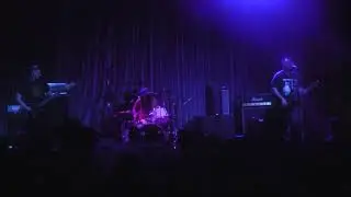 ANIMALS AND CHILDREN -THE REGENT LOS ANGELES CA  2/7/2020 