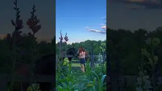 Life on a horse farm🤍🌷💌 #cottagecore #countrylife #farmlife