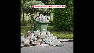 Say YES to clean bins & NO to odors! Book now: (1) 361 326 9274 #CleanBins #HygienicHome