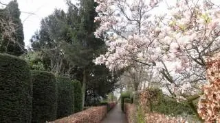 Wandeling Spoordonk-Oirschot-Spoordonk