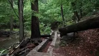 🎶 Uyuman için sakin parçalar söylüyorum / No ASMR  / Soft Voice 🌙💤 (Mutlaka Kulaklık 🎧)