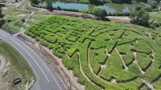 Lyman Orchards corn maze celebrates Connecticut pizza