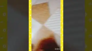 Homemade easy cat 😺 food