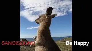 Sangisound  - be happy SPOILER
