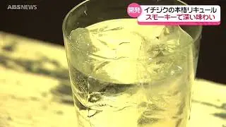 【特集】開発10年！スモーキーなリキュール『フィグルネ』の原料は⁉