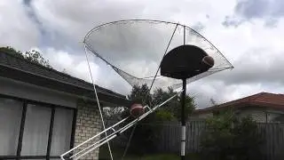 Basket Ball return to me Tauhir Toyer