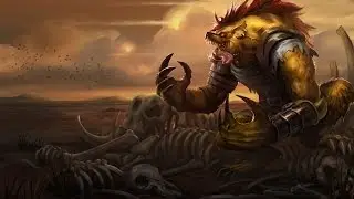 2nd best Warwick KOREA 
