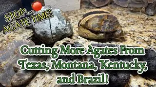 Cutting More Beautiful Agates…WHAT’S INSIDE?!?