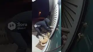 Loyal Dog Scares Off Late-Night Thief &mdash; Real CCTV Moment