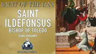 23rd January &ndash; Saint of the Day: St. Ildefonsus, Bishop of Toledo Champion of the Virgin Mary