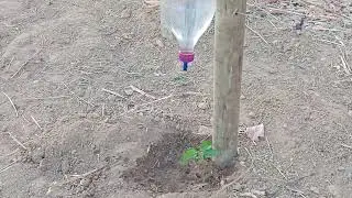 Como fazer Gotejador que dá certo, interessante com garrafa pet