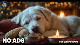 12 Hours of Relaxing Music for Dogs 🐶🎅 Separation Anxiety Relief Music 🎵 Dog Sleep Music 💖 No Ads