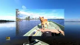 Topin rantaloma Inarilla - Topi's summer holiday on Lake Inari