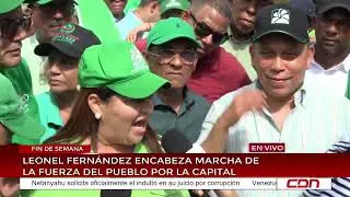Leonel Fern&aacute;ndez encabeza marcha de la Fuerza del Pueblo por la capital