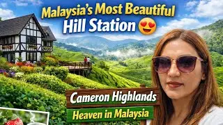 Cameron Highlands Complete Tour  | Most Beautiful Places in Malaysia | Travel Vlog