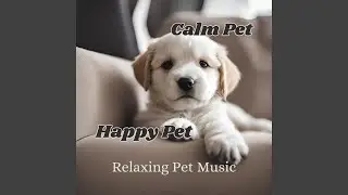 Calm Pet Song