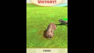 Komodo Dragon Hunts Wild Boar | Intense Animal Battle Revolt Simulator  #animalbattlesimulator