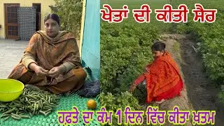 ਹਫ਼ਤੇ ਦਾ ਕੰਮ 1 ਦਿਨ ਵਿੱਚ ਕੀਤਾ ਖ਼ਤਮ ਹੁਣ ਕੋਈ ਟੈਂਸ਼ਨ ਨੀ 😰Manjit kular vlogs 