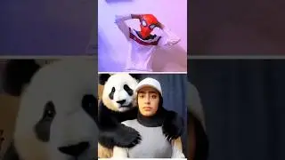 Crazy Animal Reaction 😳🤯 Part 4 #shorts #sigma #reaction