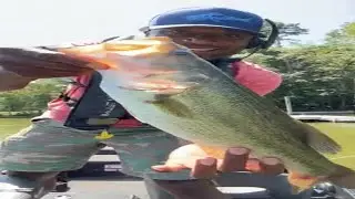 Live fishing on Lakes Logan Martin