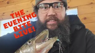The Evening Bite - Live - January 18 - Robs 5 Star Fishing