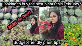 best gardening tips 2026 | home gardening ideas |  flower | terrace gardening | best nursery in ncr