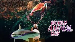 🦚Happy🐱World🐶Animal🐪Day🦁4th October 2020🐅World Animal Day 2020🐬Best Whatsapp Status Video🐥
