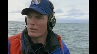 Christopher Reeve - In the Wild: Gray Whales