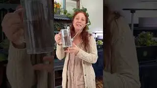 Simply the Best Houseplant Watering Can by Instant Plant Food