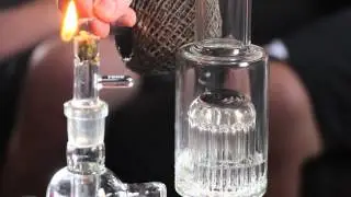 Toro Circ Perc to 13 Arm Tree Perc
