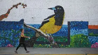 Venezuela: turning plastic waste into art to curb environmental pollution