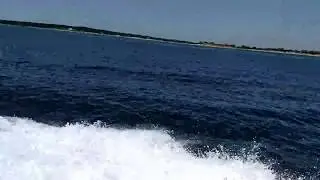 East Coast Waves